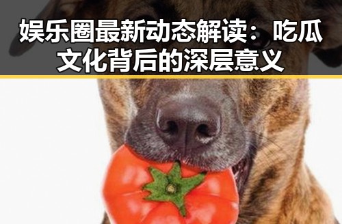 娱乐圈最新动态解读:吃瓜文化背后的深层意义